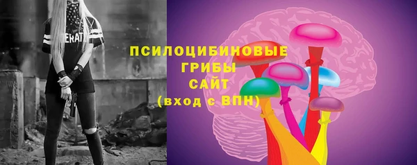 прущие грибы Алексин