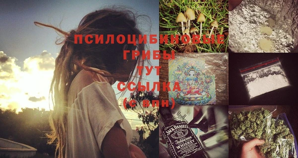 прущие грибы Алексин