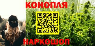 гидропоника Дубна