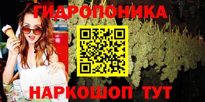jwh Пенза