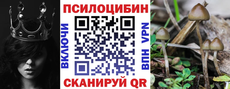 Псилоцибиновые грибы ЛСД  мега зеркало  Майкоп  сколько стоит 